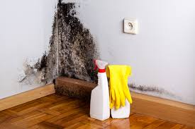 Why You Should Choose Our Mold Remediation Services in Spencerville, MD